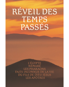 Réveil des temps passés - tome 3 (eBook)